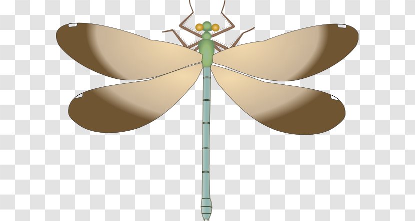 Dragonfly Drawing Clip Art - Insect Transparent PNG