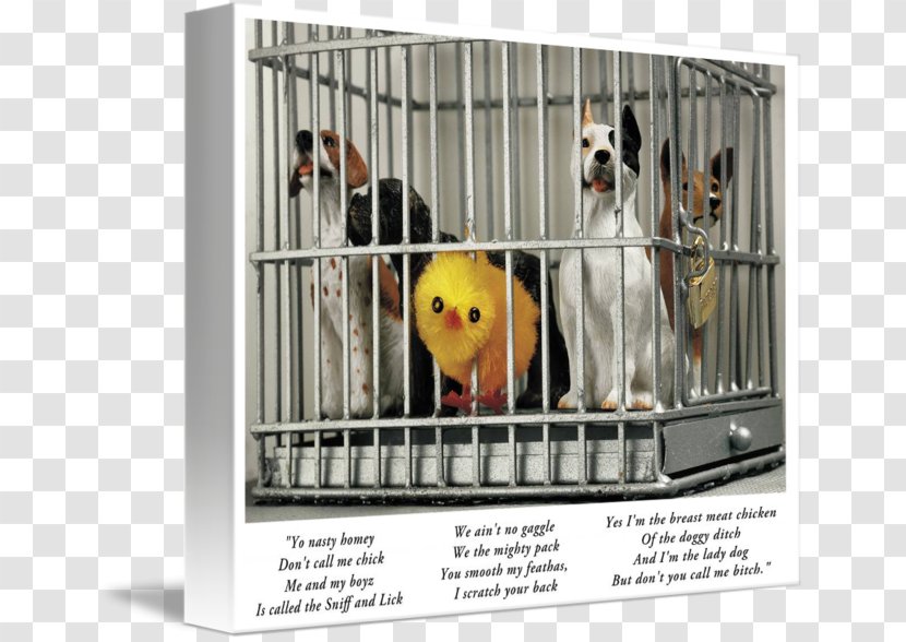 Dog Crate Animal Shelter Kennel Cage Transparent PNG