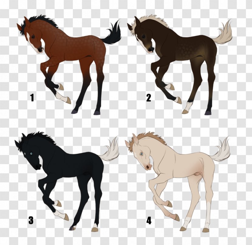 Mustang Foal Mane Mare Stallion - Animal Figure - Buy Raffle Tickets Transparent PNG