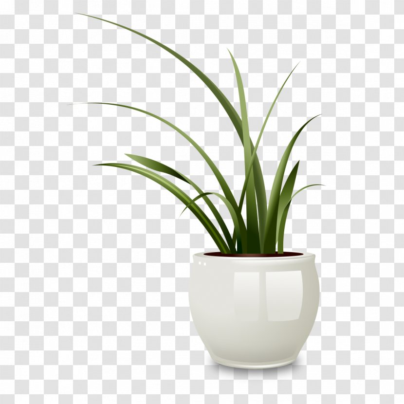 Drawing Flowerpot Vase Photography Illustration - Classic White Transparent PNG