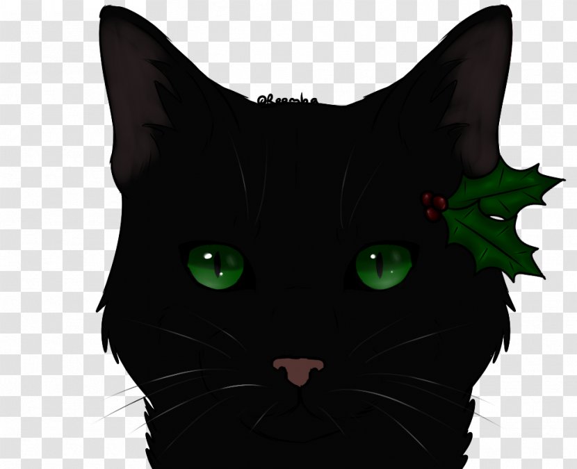 Bombay Cat Korat Mammal Whiskers Black - Character - Cats And Mothers Transparent PNG