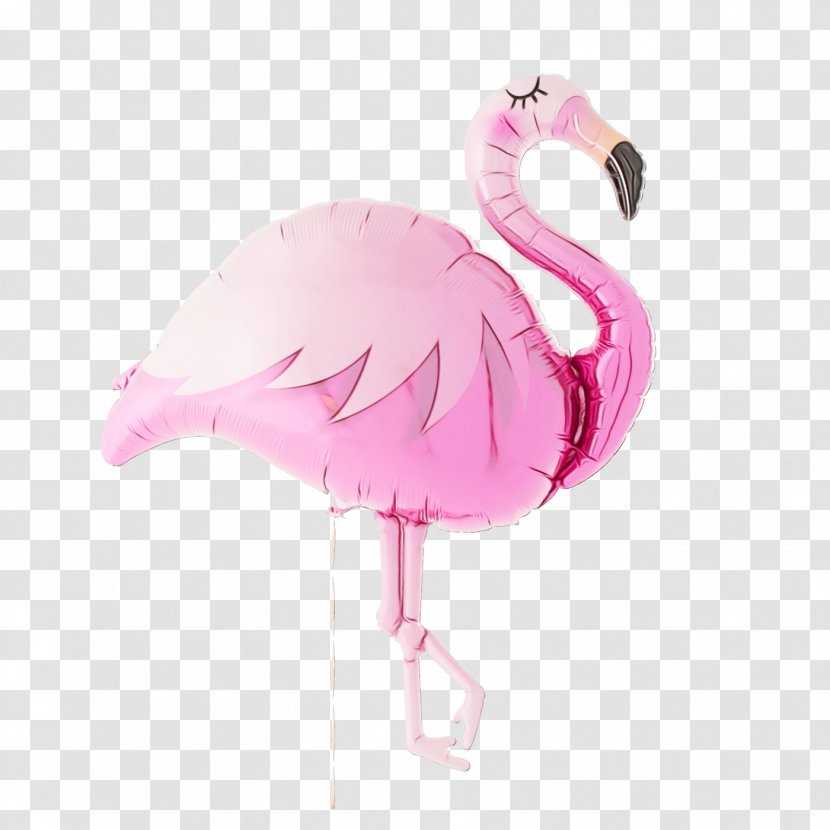 Pink Flamingo - Bird - Feather Water Transparent PNG
