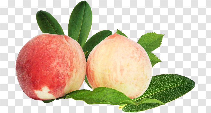 Nectarine Fruit Auglis - Apple - Peaches Transparent PNG