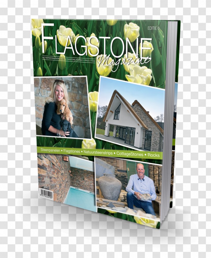 Shelf Plastic Picture Frames - Flagstone Transparent PNG