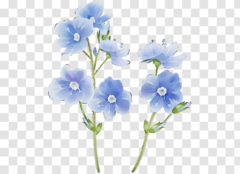 Blue Watercolor Flowers Plant Dayflower Family Transparent Png