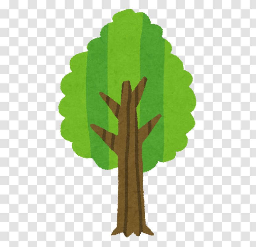 Tree Wood Branch Biomass - Shrub Transparent PNG