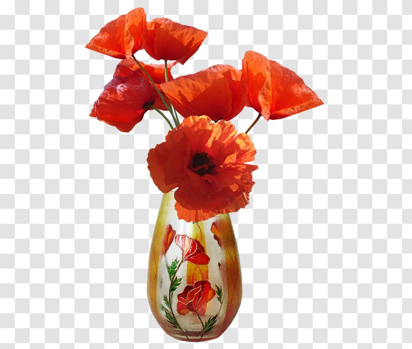 Common Poppy Vase Flower Transparent PNG
