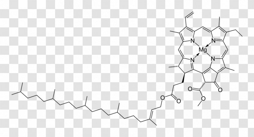 Heme Chlorophyll Hemoglobin Myoglobin - Cartoon - Organic Chemistry Transparent PNG