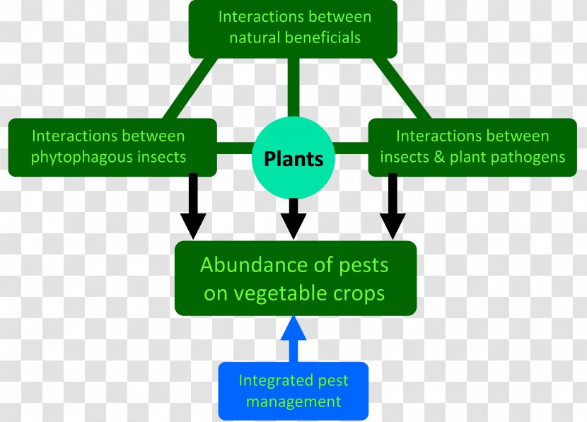 Abiotic Component Interaction Mathematics Technology Transparent PNG