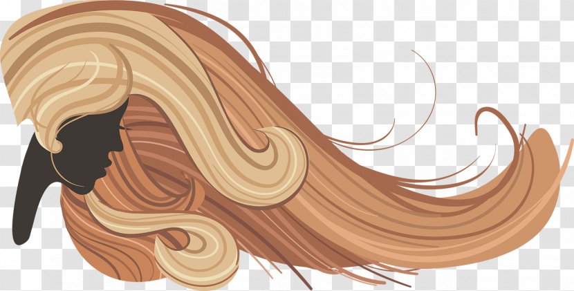 Hairstyle Beauty Parlour Hairdresser Brown Hair - Modern Salon Cartoon Hand Drawing Vector Transparent PNG