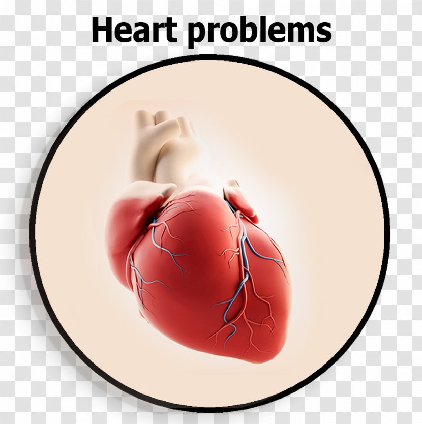 Cardiology Cardiac Surgery Heart Cardiovascular Disease Health - Tree - Well Being Transparent PNG