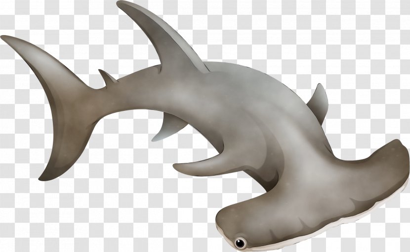 Shark Fin Background - Requiem Sharks Transparent PNG