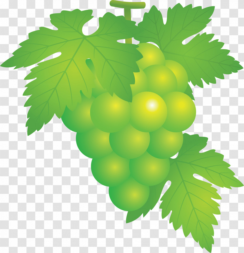 Grape Grapes Fruit Transparent PNG