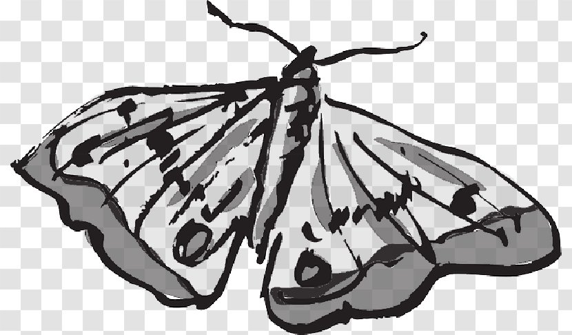 Monarch Butterfly Clip Art Vector Graphics - Invertebrate - Flying Wings Transparent PNG