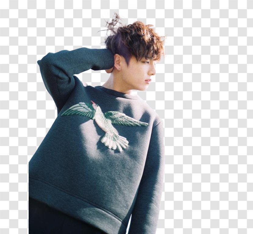 Jungkook The Most Beautiful Moment In Life: Young Forever BTS Epilogue: BigHit Entertainment Co., Ltd. - Life - Neck Transparent PNG