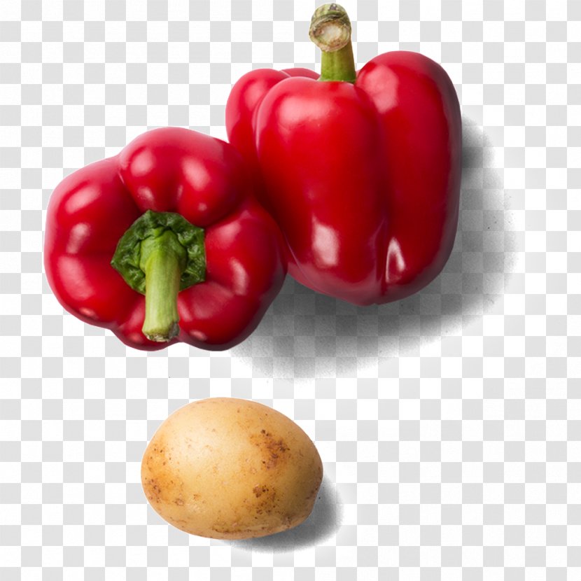 Bell Pepper Cayenne Chili Vegetable Food - Red Transparent PNG