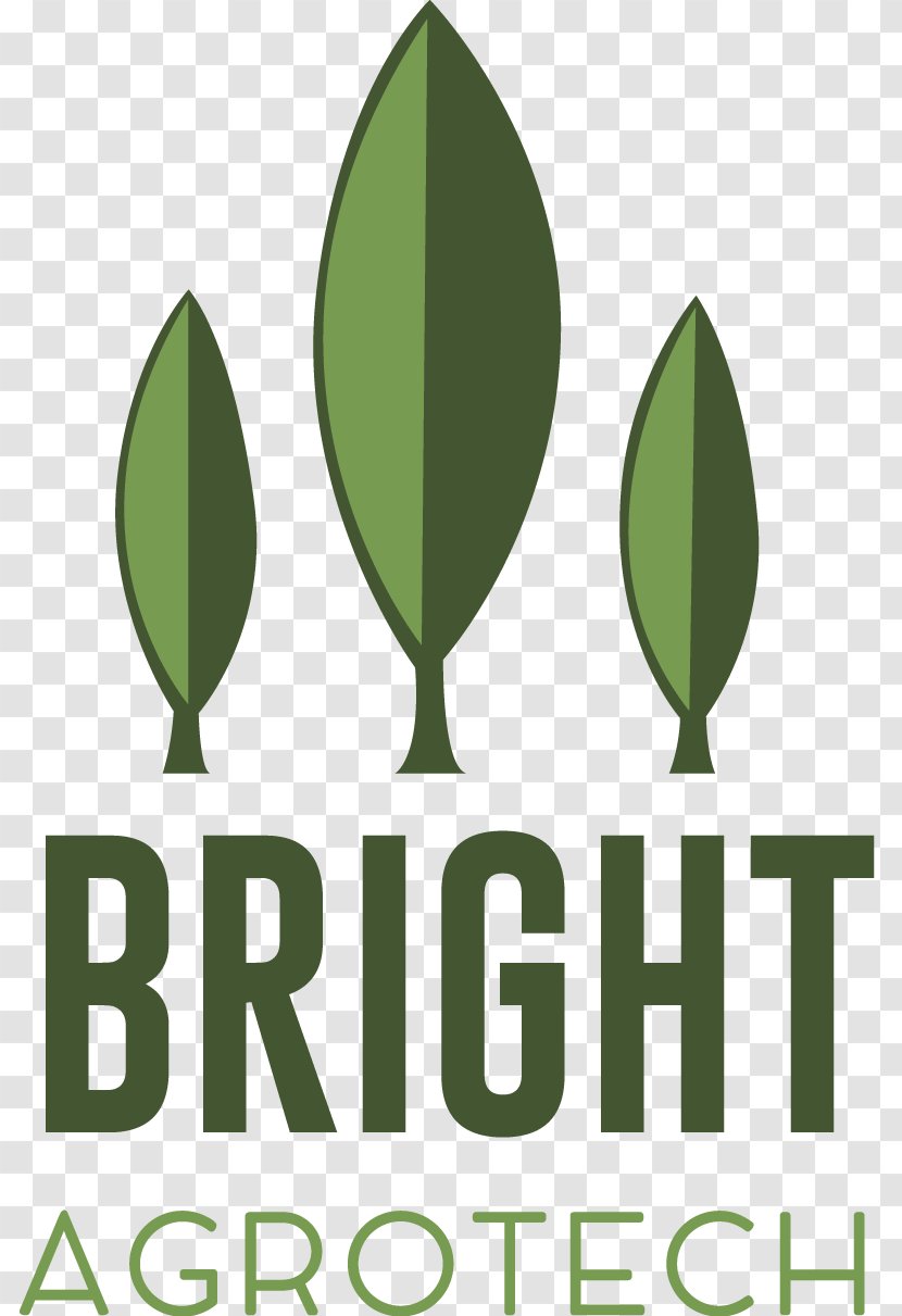 Logo Agriculture Vertical Farming Business - Leaf - Bright Future Transparent PNG