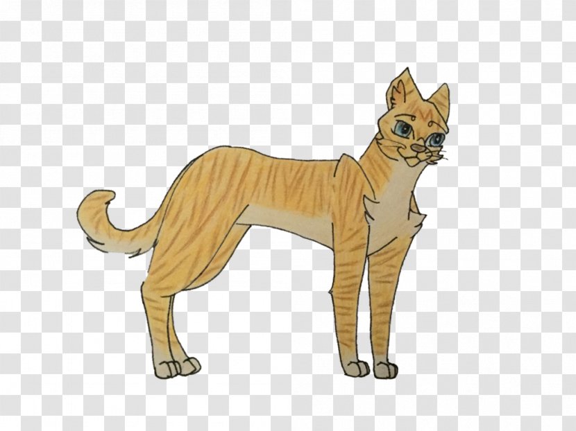 Whiskers Cat Lion Dog Breed - Puma Transparent PNG