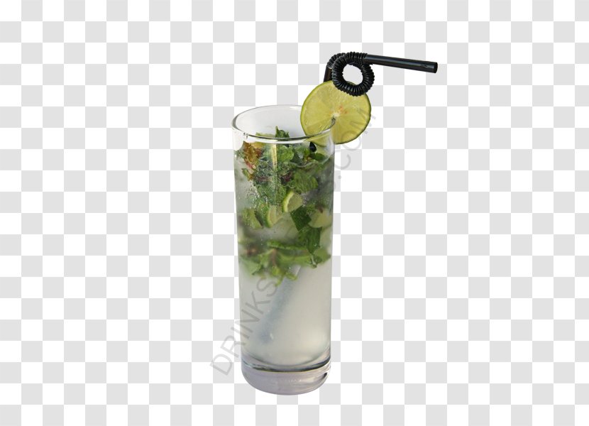 Gin And Tonic Cocktail Garnish Mojito Vodka Mint Julep - Glass Transparent PNG