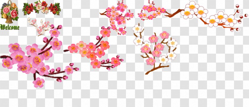 Plum Blossom Download Clip Art - Flower Transparent PNG