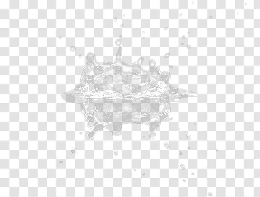 White Black Pattern - Texture - Water Droplets Splash Transparent PNG