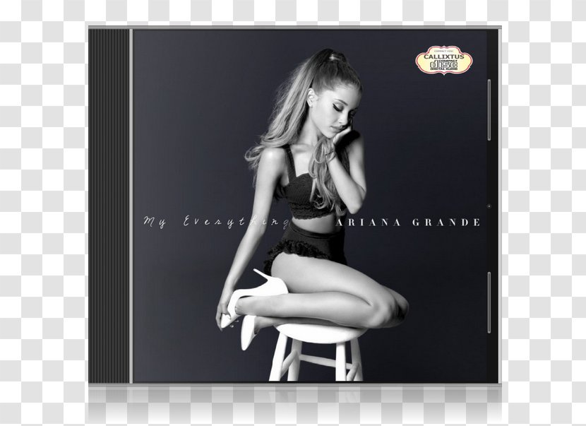 My Everything Album Dangerous Woman Only 1 One Last Time - Frame - Ariana Grande Transparent PNG