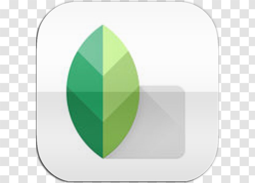 Green Brand Leaf Transparent PNG