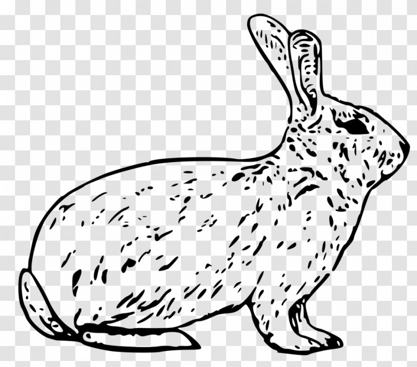 Arctic Hare Snowshoe Easter Bunny Mountain Clip Art - Animal Figure - Elephant Rabbit Transparent PNG