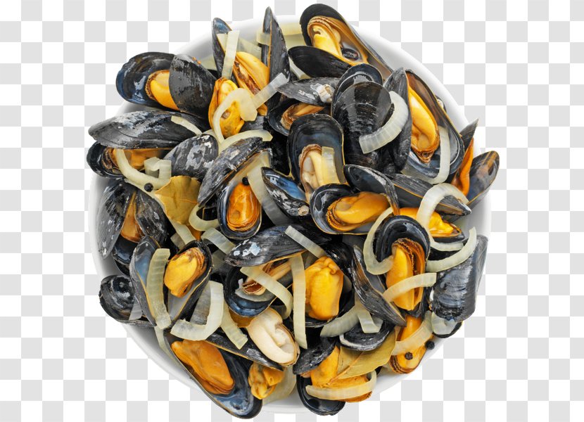 Blue Mussel Seafood Lobster - Clams Oysters Mussels And Scallops Transparent PNG