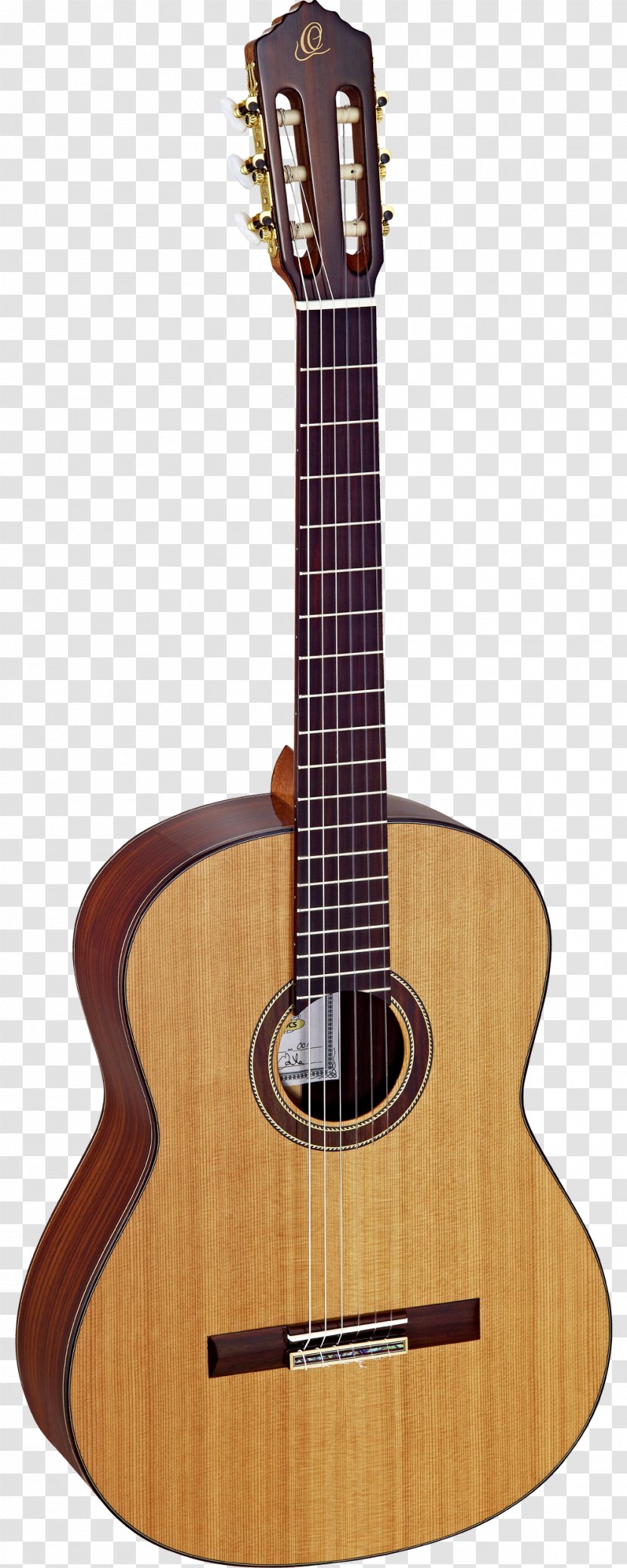 Taylor Guitars Steel-string Acoustic Guitar Classical Musical Instruments - Flower - Amancio Ortega Transparent PNG