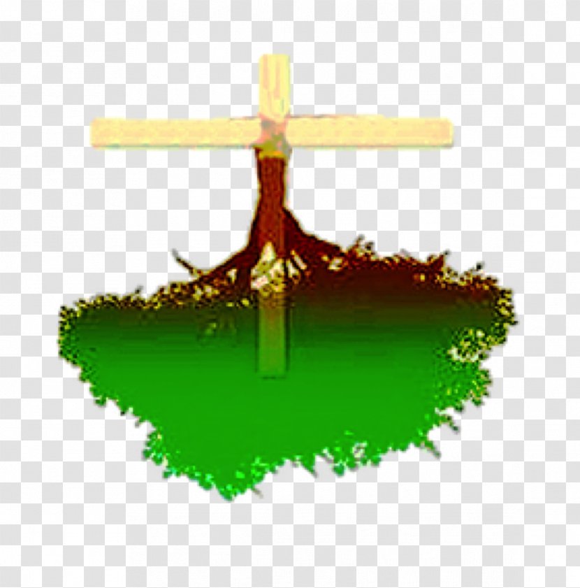 School Ministry Bible College Word Of Knowledge Prophet - Grass Transparent PNG