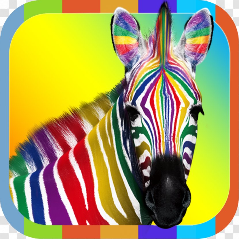 IPhone 4S Desktop Wallpaper Zebra - Iphone Transparent PNG