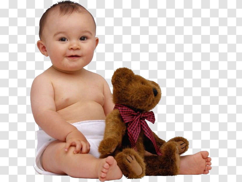 Bear Infant Toy - Tree - Baby Transparent PNG