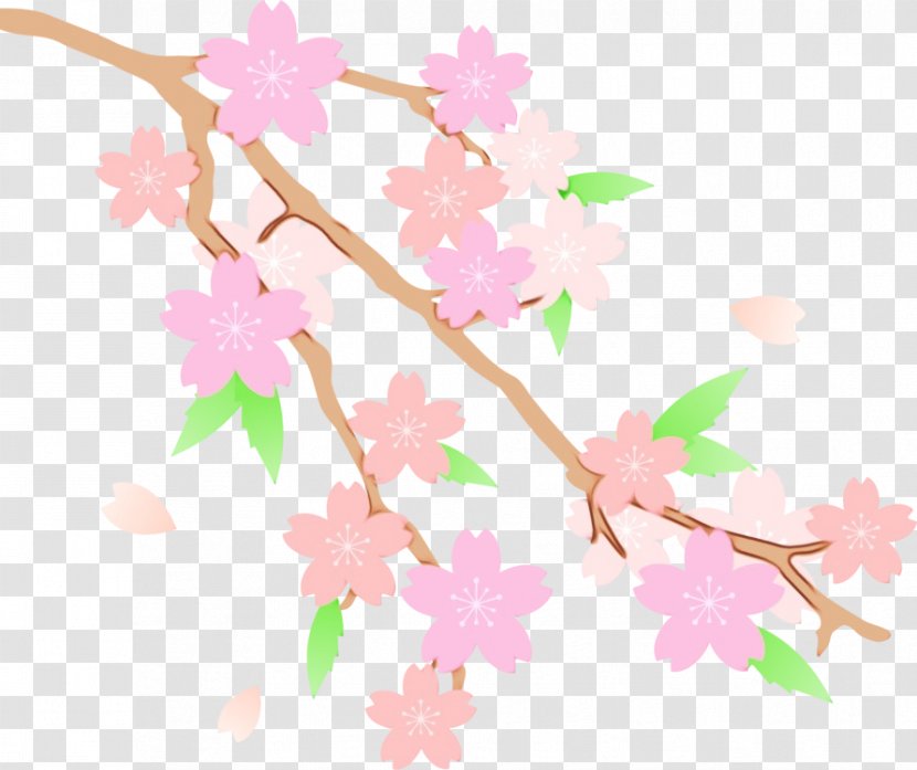 Floral Design Cat Chiba Prefecture Blossom - Flowering Plant - Cherries Transparent PNG