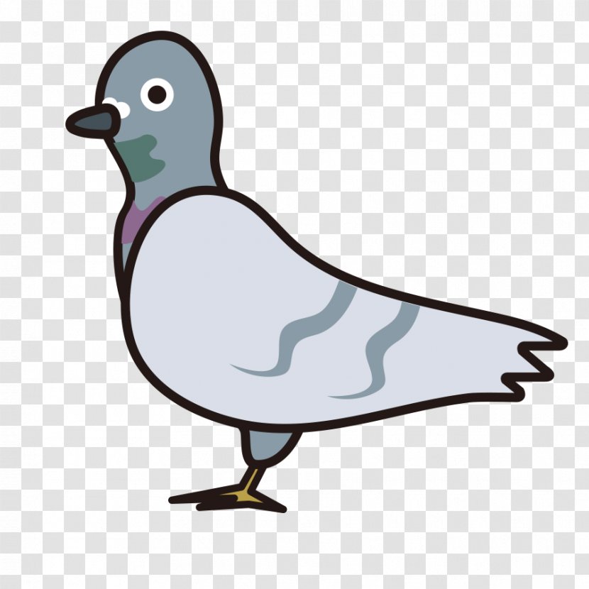 Mallard Pigeons And Doves Clip Art Animal Educational Flash Cards - Play Transparent PNG