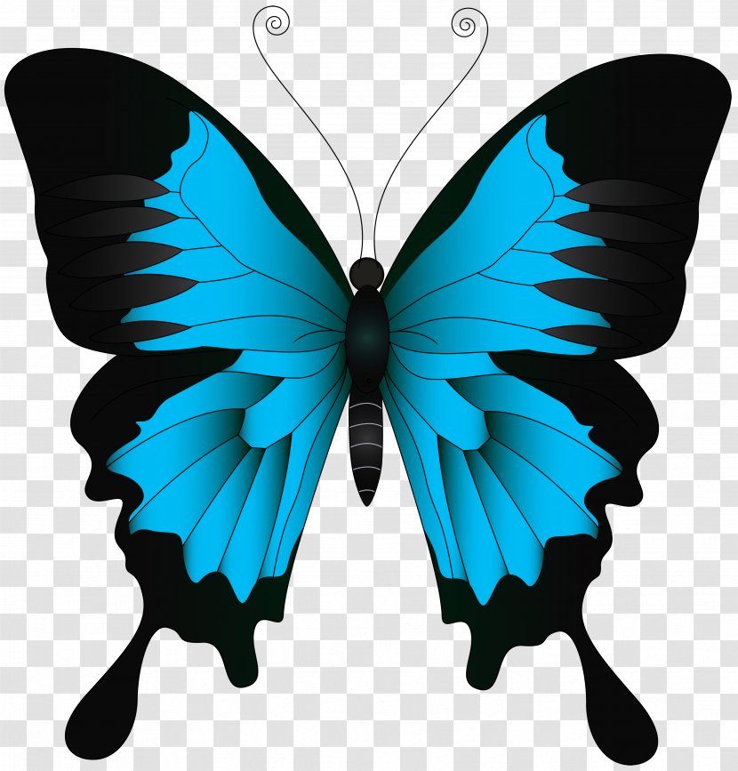 Swallowtail Butterfly Papilio Ulysses Clip Art - Morpho - Blue Image Transparent PNG