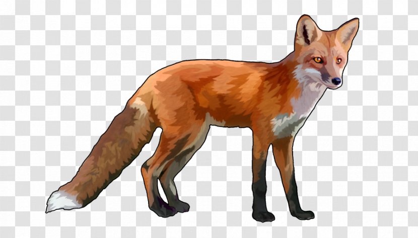 Red Fox Dhole Dog Canidae - Mammal Transparent PNG