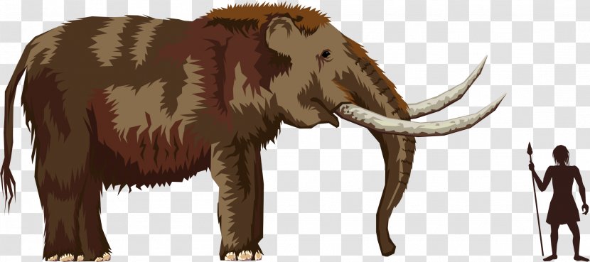 Pliocene Mastodon Mammoth Clip Art - Elephany Transparent PNG