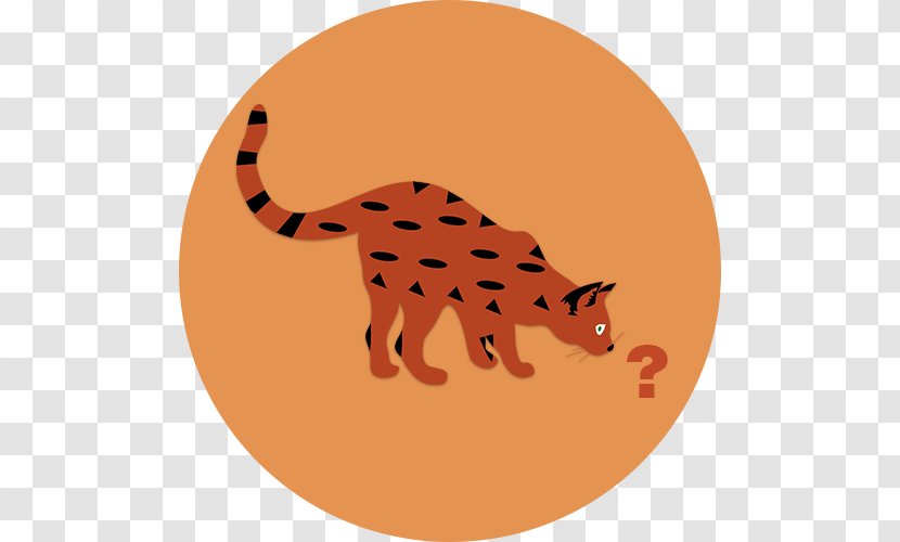 Whiskers Big Cat Felidae Mammal - Dog Transparent PNG