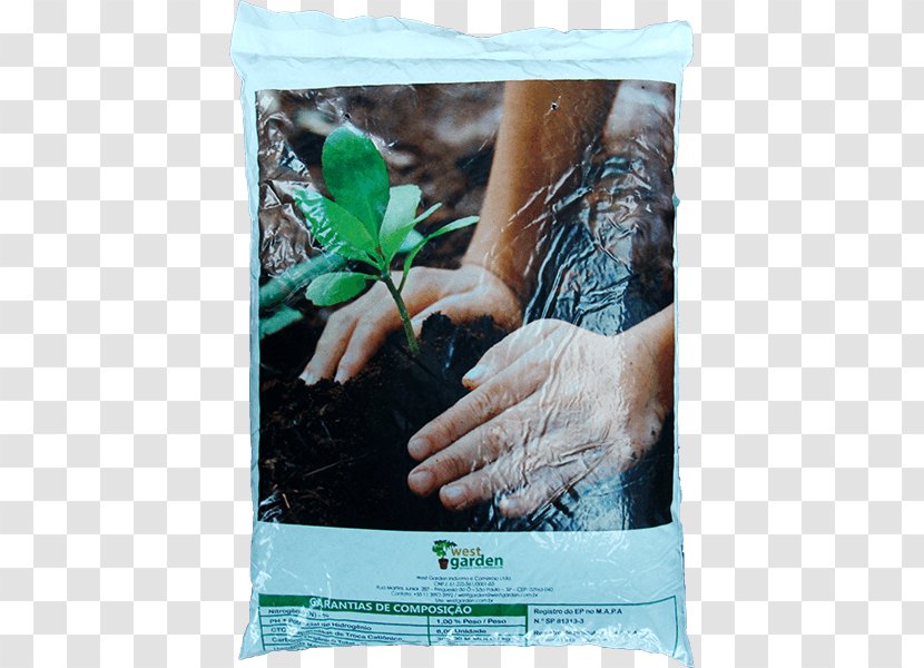 Humus Organic Matter Fertilisers Earthworm Chemistry Transparent PNG