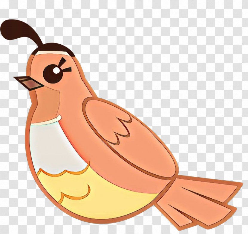 Bird Cartoon Beak Transparent PNG