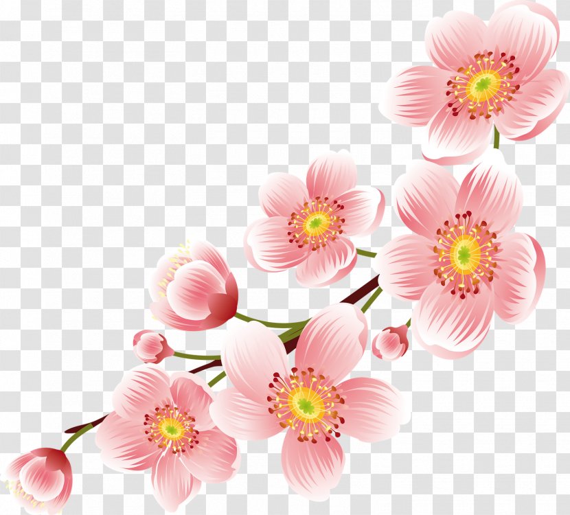 Flower Desktop Wallpaper Floral Design Clip Art - Pnk - Peach Transparent PNG