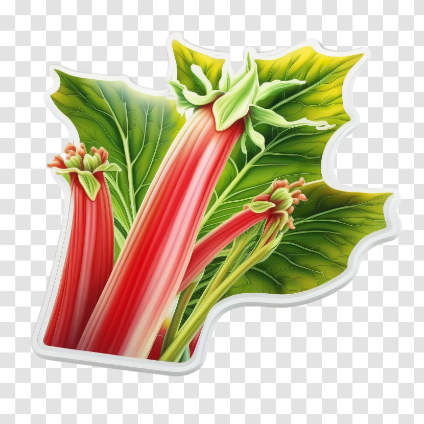Rhubarb - Fresh Rhubarb Stalks With Leaves Transparent PNG