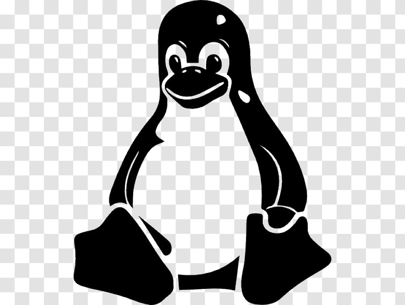 Linux Operating Systems Tux Vector Graphics - Human Behavior Transparent PNG