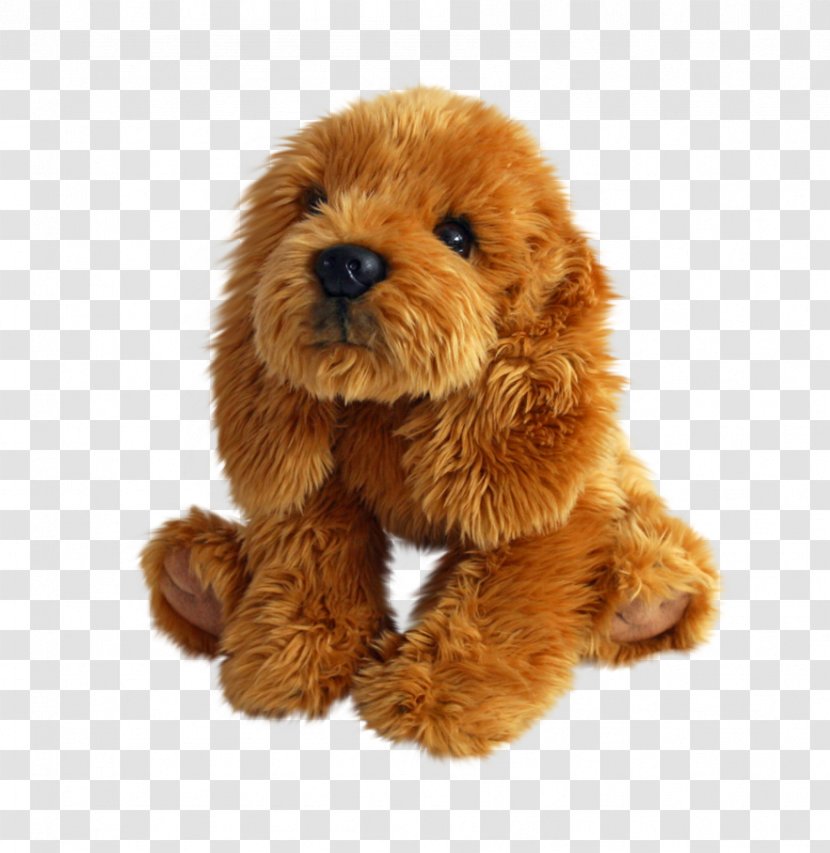 Dog Breed Puppy Toy Poodle Companion - Sporting Group Transparent PNG