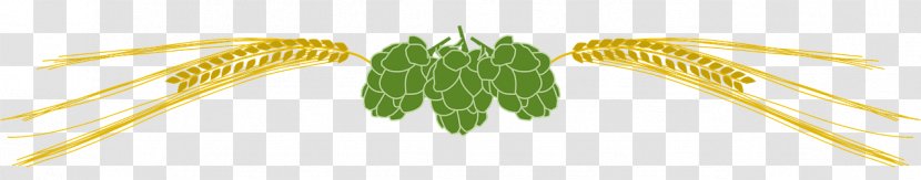 Beer Common Hop Brewmaster Cereal Brewery Transparent PNG