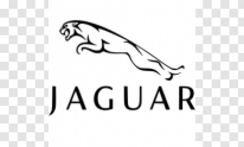 Jaguar Cars Auto Show Land Rover Luxury Vehicle - Car Dealership Transparent PNG