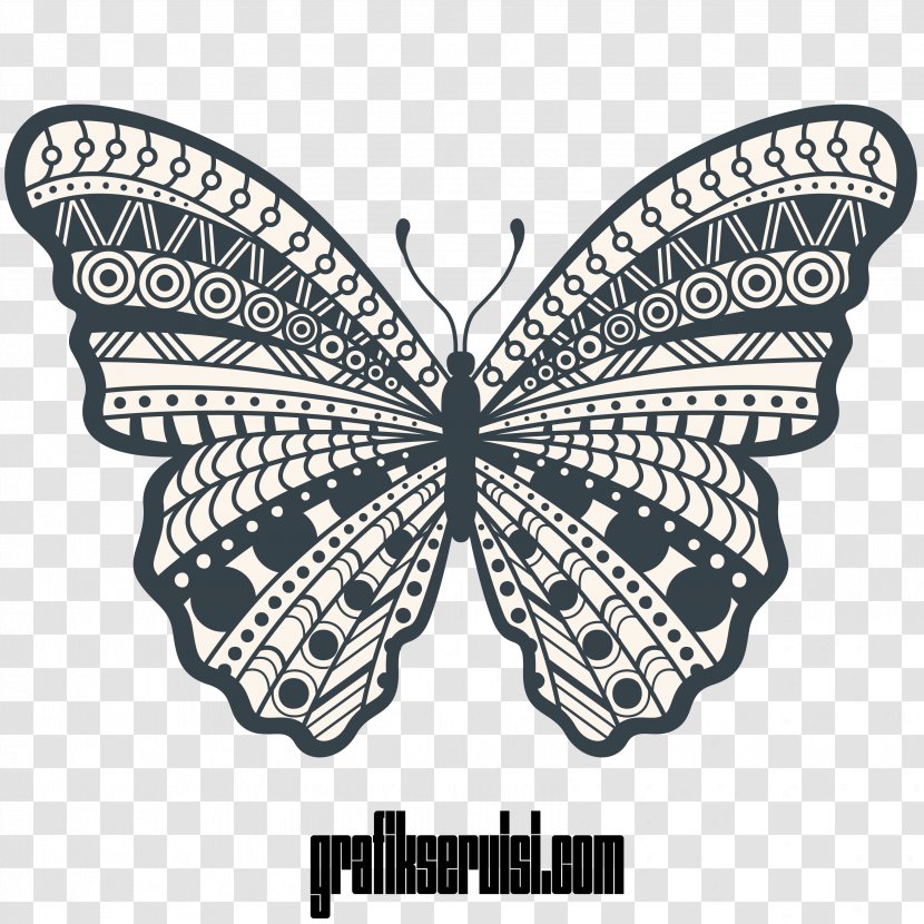 Butterfly Drawing Illustration Image Vector Graphics - Moth - Muslims Burning Cross Transparent PNG