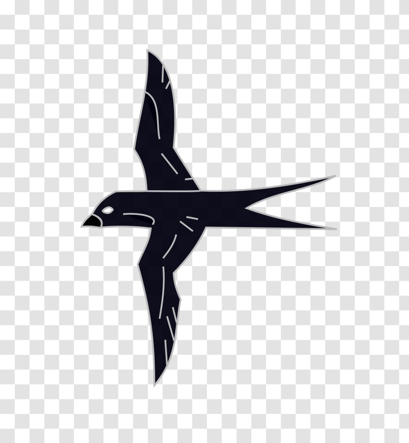 Heraldry Swallow Coat Of Arms Bird Information - Airplane - Hirondelle Du Pacifique Transparent PNG