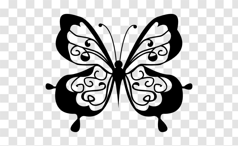 Download Clip Art - Symmetry - Cute Butterfly Transparent PNG